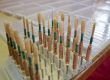 EG-REEDS